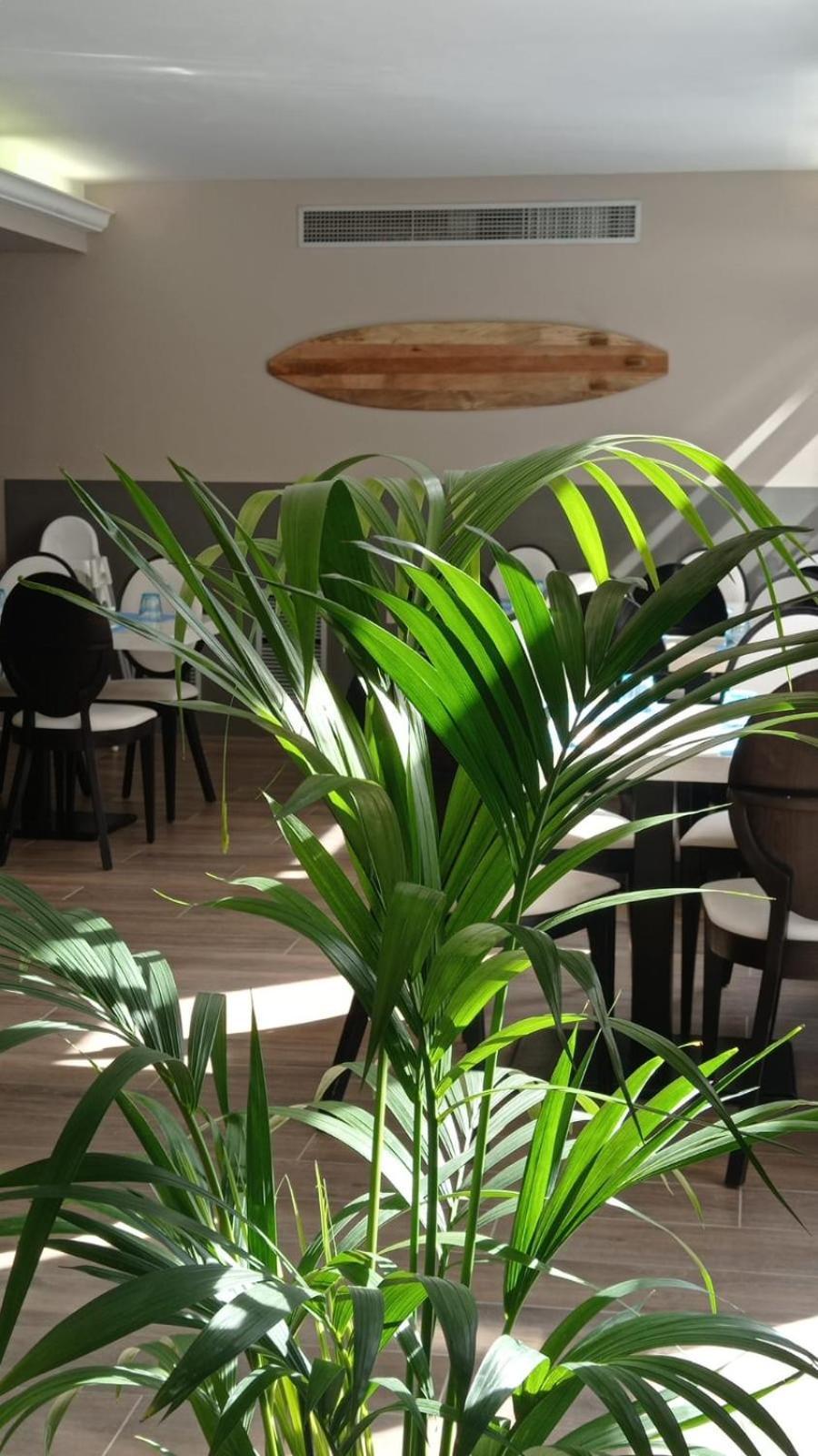 Summer Hotel 칼레라 외부 사진